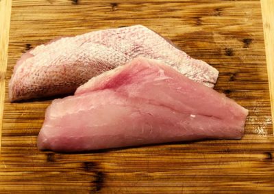 fishersland-fish-1