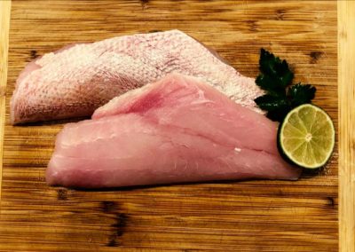 fishersland-fish-2