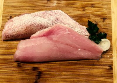 fishersland-fish-3