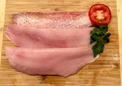 fishersland-fish-4