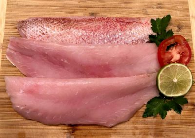 fishersland-fish-5