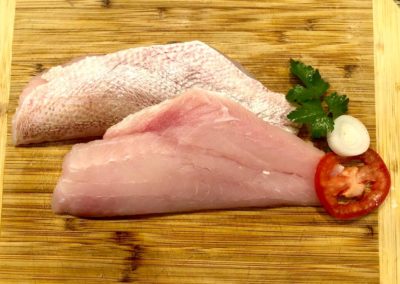 fishersland-fish-6