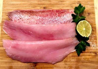 fishersland-fish-7