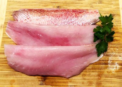 fishersland-fish-8
